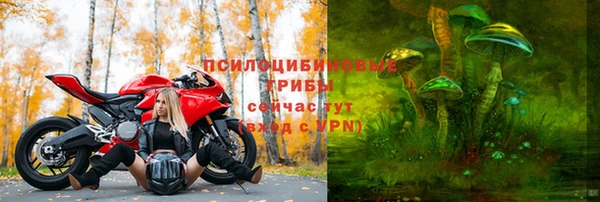 эйфоретик Надым