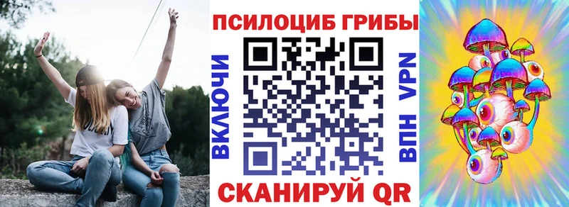 Псилоцибиновые грибы мицелий закладки Катав-Ивановск